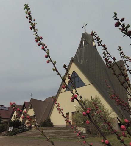 1 bernardyni częstochowa